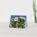 Search for sonoran cards Cacti