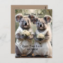 Search for koala postcards Australian