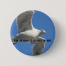 Search for the flying badges Sky