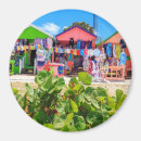 Search for antigua magnets Landscape