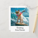 Search for boarding postcards Surfing