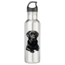 Search for black labrador water bottles Dogs