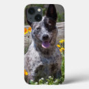 Search for alert electronics Dog