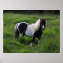 Search for horse breeds posters Pony