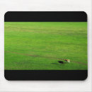 Search for panoramic mouse mats Animals
