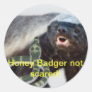 Search for honey badger stickers Humour