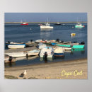 Search for cod posters Ocean