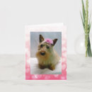 Search for scottish terrier valentines day cards Scottie