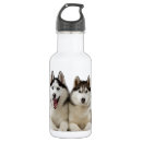 Search for husky water bottles Lover