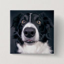Search for add image badges Dog
