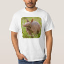 Search for armadillo tshirts Animal
