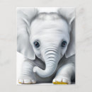 Search for grey elephant postcards Baby elephants