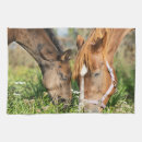 Search for horse tea towels Foal