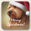 Search for funny christmas coasters Animals