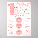 Search for first birthday board posters Pink