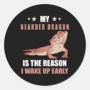 Search for chimera stickers Dragons