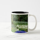 Search for lisse mugs Hyacinth
