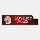Search for poodle bumper stickers Dogs
