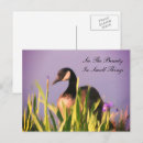 Search for appreciating postcards Customer