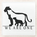 Search for big cat coasters Africa