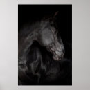 Search for horse black posters Photography
