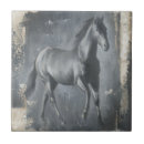 Search for horse riding tiles Equestrian