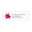 Search for stargazer lily return address labels Floral