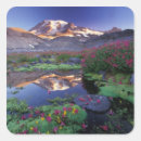 Search for mt washington stickers Usa