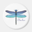 Search for ani magnets Blue