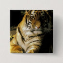 Search for tiger eye badges Wildlife
