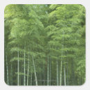 Search for bamboo forest stickers Green