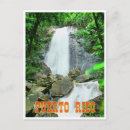 Search for rain forest postcards Park