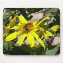 Search for bumblebee mouse mats Garden