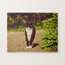 Search for black tuxedo cat puzzles Black and white