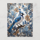Search for jay postcards Bird