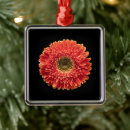 Search for gerbera daisy christmas tree decorations Bloom