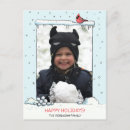 Search for snowball christmas cards Cardinal