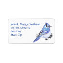 Search for blue jay labels Garden