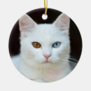Search for tabby christmas tree decorations Green