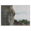 Search for dapple grey Equine