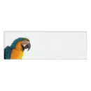 Search for parrot photography Zoo