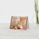 Search for rub cards Cat