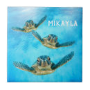 Search for swimming turtle tiles Tortoise