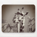 Search for old style mouse mats Animal