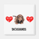 Search for doxies photography Puppy
