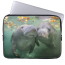 Search for undersea electronics Ocean