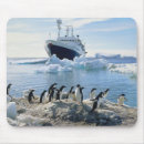 Search for icy mouse mats Ice