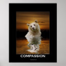 Search for black and white bear posters Wildlife