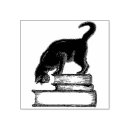 Search for book rubber stamps Cat