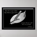 Search for white lily posters Garden